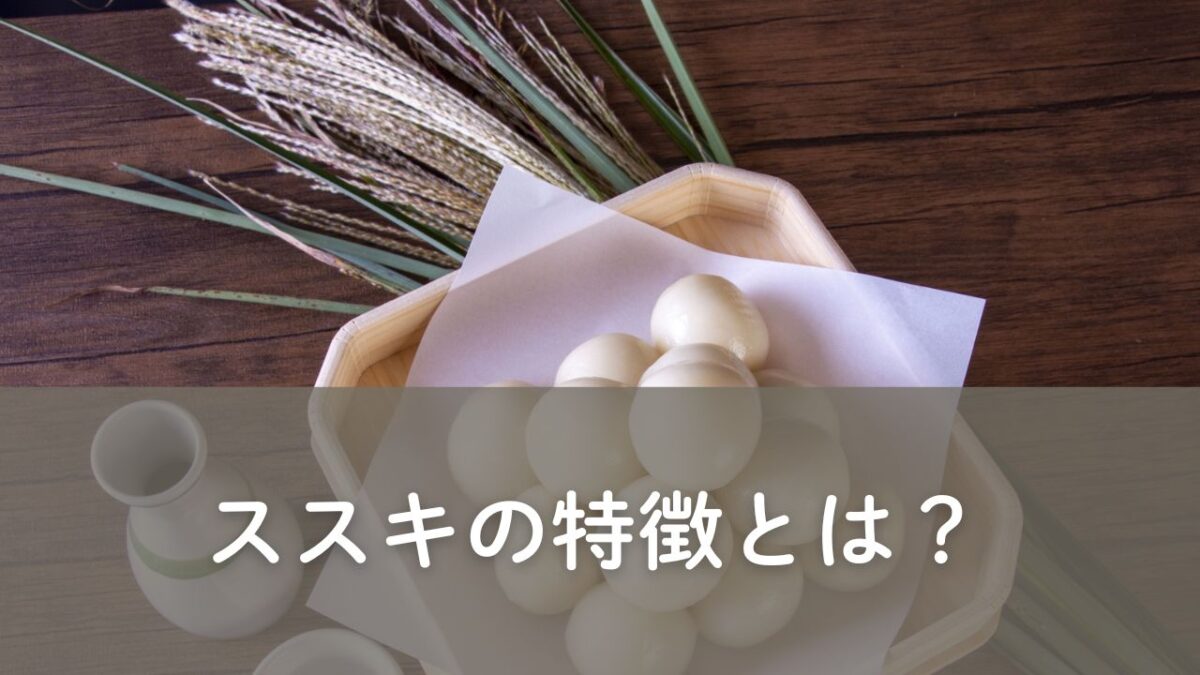 ススキの特徴について